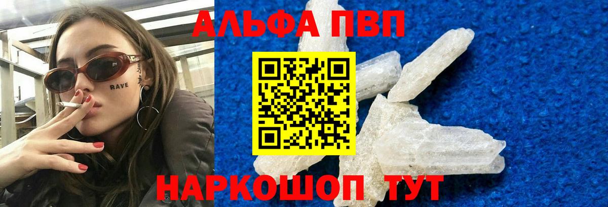 A PVP СК КРИС Губкинский