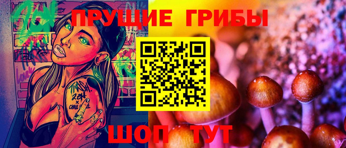 Галлюциногенные грибы Psilocybe Губкинский
