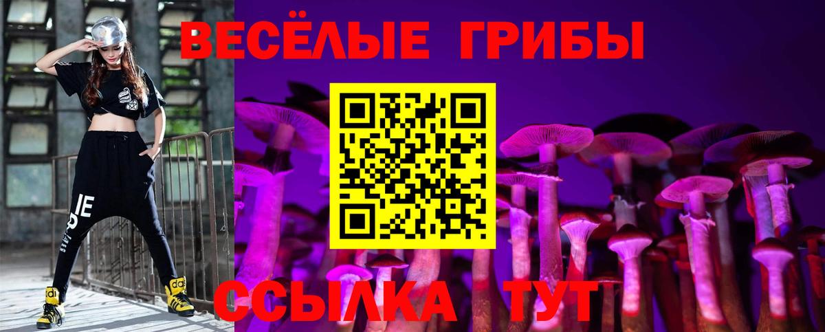 купить наркоту  Галлюциногенные грибы MAGIC MUSHROOMS  Вход с VPN  Губкинский 